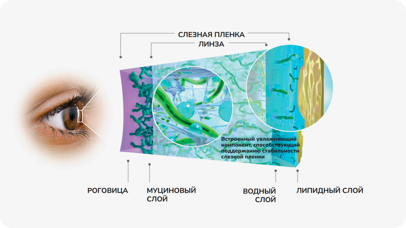 Инновационная технология EYE-INSPIRED^ | Технология HYDRACLEAR® PLUS#
