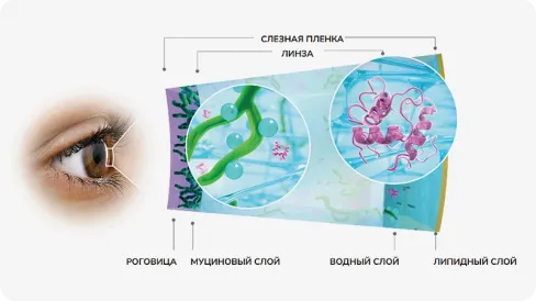 1-DAY ACUVUE® MOIST with LACREON media