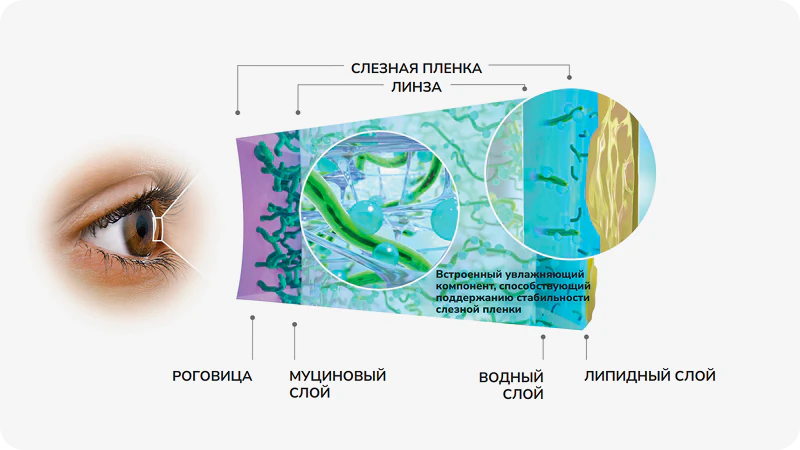 Инновационная технология EYE-INSPIRED^ | Технология HYDRACLEAR® PLUS#